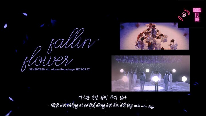 [VIETSUB] Fallin’ Flower (Korean Ver.) - SEVENTEEN  #MUSIC ♫