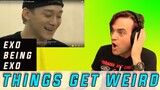 WEIRD REACTION to just EXO being EXO and ending every TV show ever //  HONEST ELLIS REACTS #844