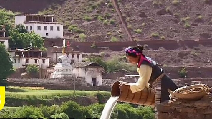 In special villages in Tibet, women are engaged in main production labor, but men need to bring dowr