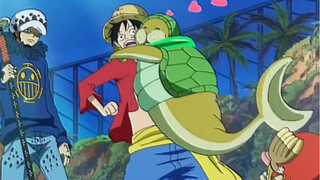 Murid pertama Luffy: Semuanya, minggir! Tidak ada yang bisa menggantikanku! Saya sangat mencintai tu