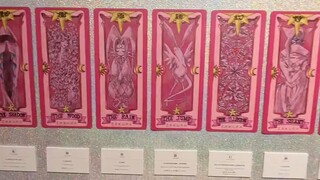 [Kardinal Sakura] Ruang kartu pameran Chongqing Sakura