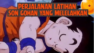 Perjalanan Latihan Son Gohan yang Melelahkan❗❗