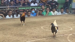 StanSid grey sa Sta Monica, Dec 2023, panalo sana kung inayos ni ref