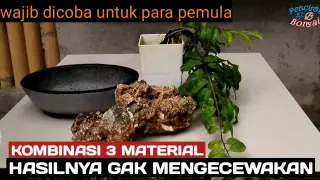 makanan dilarang untuk batu karang