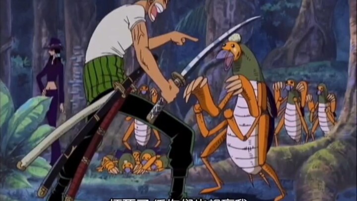 Zoro always has conflicts with strange creatures