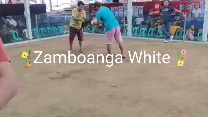 Zamboanga White # 2