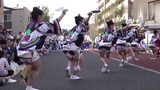 Japanese traditional dance Awa dance performance