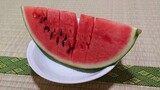 The cat that eats watermelon【KARAMERU】