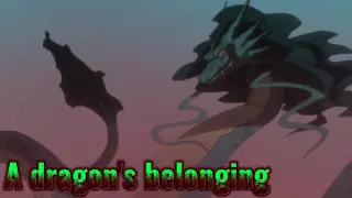 A dragon's belonging