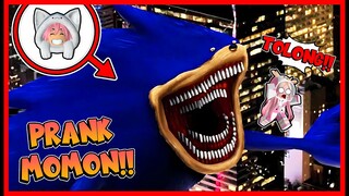 ATUN PRANK MOMON MENJADI SHIN SONIC TAPES !! MOMON KETAKUTAN !! Feat @sapipurba Roblox