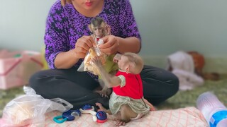 Toto & Yaya can't wait for Mom to give her potato fries​ cake, They come quickly to request Mom