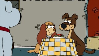 Family Guy: Demi harga dirinya, Brian kabur dari rumah dan menjadi anjing liar