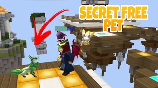 FUNNY PARKOUR IN BEDWARS LOBBY + SECRET FREE PET 😂😂 -BLOCKMAN GO BEDWARS