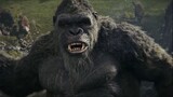 Godzilla.X.Kong.The.New.Empire.2024.720p.WEBRip