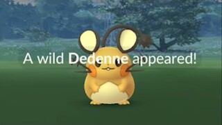 New Pokemon Dedenne in Festive of Lights