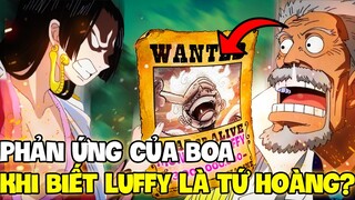 BOA, GARP SẼ RA SAO KHI BIẾT LUFFY LÀ TỨ HOÀNG?! | PHẢN ỨNG MỌI NGƯỜI KHI LUFFY TRỞ THÀNH TỨ HOÀNG