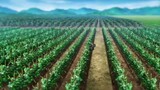 Somehow I Got Strong By Raising My Farming Skills 【Completed_Series】