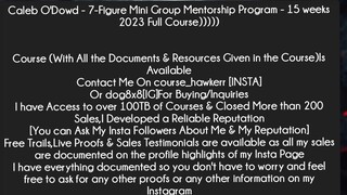 Caleb O'Dowd - 7-Figure Mini Group Mentorship Program - 15 weeks 2023 Full CourseCourse Download