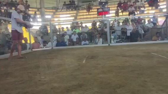 socony bugallon pangasinan snamhan ng swerte