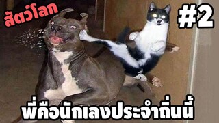 Ep.2 สัตว์โลกกวนตีน - [ พากย์นรก ] | easy boy