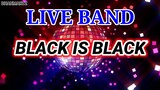 LIVE BAND || BLACK IS BLACK | RETRO