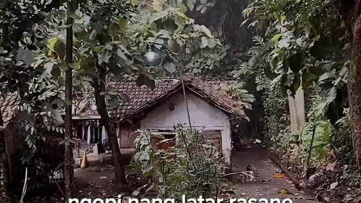 keluh kesah hidup di desa