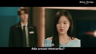 Marry Me Again Episode 11-20 Sub Indo