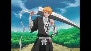 Byakuya only divined the power of Ichigo's Bankai, but it was too late, Ichigo vs. Byakuya [780p]