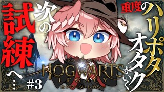 【 ホグワーツ・レガシー 】ストーリー中心回‼私は”勇敢な”グリフィンドール生です。 Hogwarts Legacy【鷹嶺ルイ/ホロライブ】#03