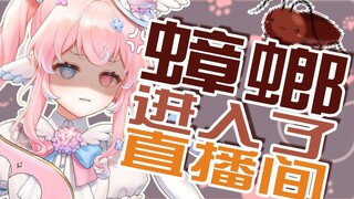 直播间被蟑螂占领了怎么办，在线等我好急
