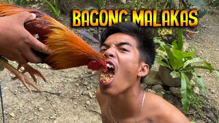 Boy Ogom Nagpatuka sa Manok sabay Hamon kay Mr Chulz