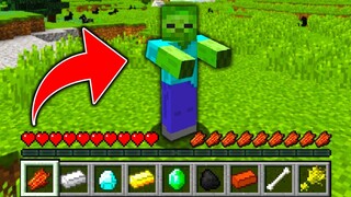 ใช้ชีวิตเป็นซอมบี้ในโหมดฮาร์ดคอ จบเกม 24 ชม. ในมายคราฟ... 🧟 (Minecraft)