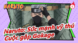 [Naruto: Sức mạnh vỹ thú] [Cảnh cắt Kakashi] Cuộc gặp Gokage (10) Kakashi sẽ đến_A