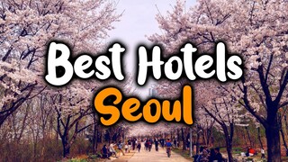 Best Hotels In Seoul, South Korea - For Families, Couples, Work Trips, Luxury & Budget