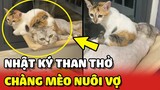 Nhật ký THAN THỞ của chàng mèo NUÔI VỢ từ NHỎ ĐẾN LỚN 😂 | Yêu Lu