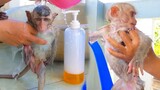 Routine Bathing!! Take a bath for tiny adorable Toto & Yaya keep them clean all the times