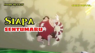 Siapa sentomaru