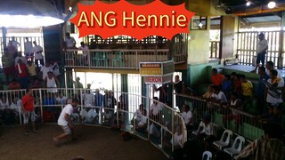 ANG Hennie (old video)