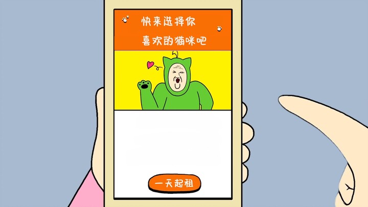 快来选择你喜欢的猫咪吧