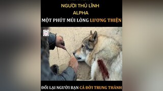 REVIEW FIM BOM TẤN xuhuong2021💖 phimhollywood phimhaymoinhat phimhot followmeformore❣️💟💟💖💖 reviewphim followmeformore❣️ followme❤️ phim