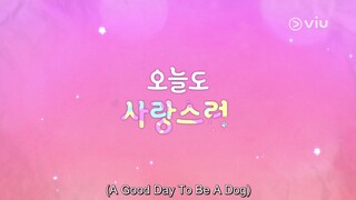 EP 09 ENG SUB A Good Day to Be a Dog