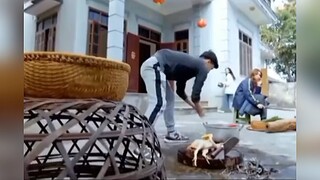 Chị tây làm gà ,30p và cái kết😆😆😆