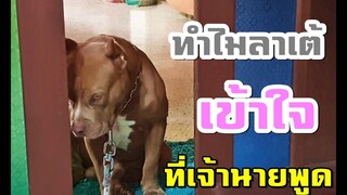 ใครบอกให้มอง