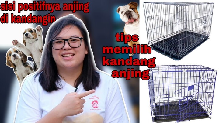 Anjing di kandangin bukan berarti jahat!!! Tips memilih kandang anjing !