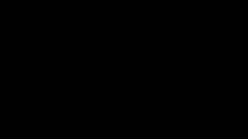 Fang.Fortune. E8
