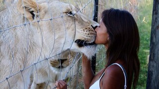 Funny Animal and Human Videos 2023 🐶 Most Emotional Animals Reunions with Their Owners ❤️