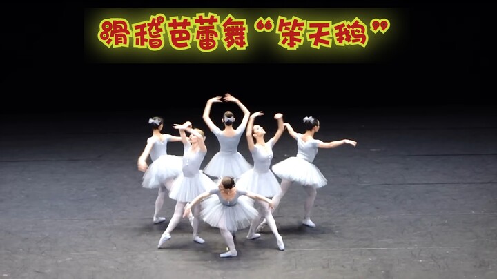 滑稽芭蕾舞“笨天鹅”