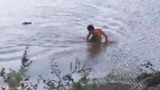 Alligator Chases Swimmer, Bites His Arm In Horrifying Footage