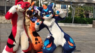 【Fursuit Dance】 Infurnity 2019 !!  丹波 & ちゃんひろ & いぶ。Be with you 踊る!!