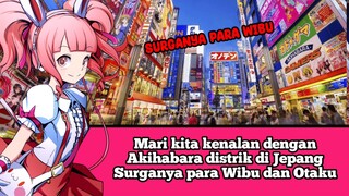 Mari kita kenalan dengan Akihabara distrik di Jepang Surganya para Wibu dan Otaku #VCreators